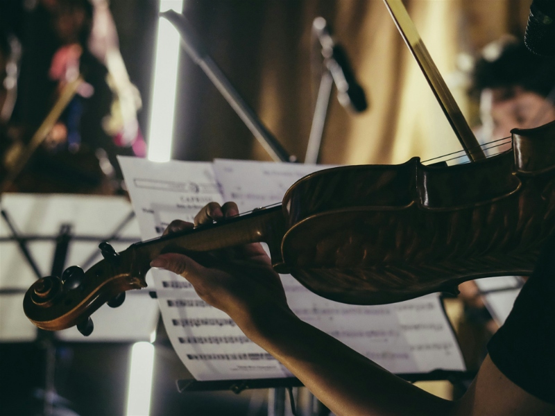 How much to hire an orchestra for a wedding? £1000 - £7,500+
